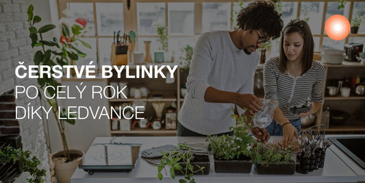 Jak mít po celý rok čerstvé bylinky? - eshop Ledvance