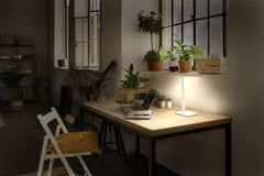 Bílá stolní lampa 7W OFFICE BANKER, laditelná bílá OSRAM