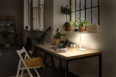 4058075842960 - Bílá stolní lampa 7W OFFICE BANKER, laditelná bílá - Stolní lampa - LEDVANCE e - shop