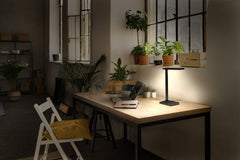 4058075842946 - Černá stolní lampa 7W OFFICE BANKER, laditelná bílá - Stolní lampa - LEDVANCE e - shop