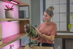 4058075842601 - Černé LED podlinkové svítidlo RGBW LINEAR EDGE 300mm - Podlinkové svítidlo - LEDVANCE e - shop