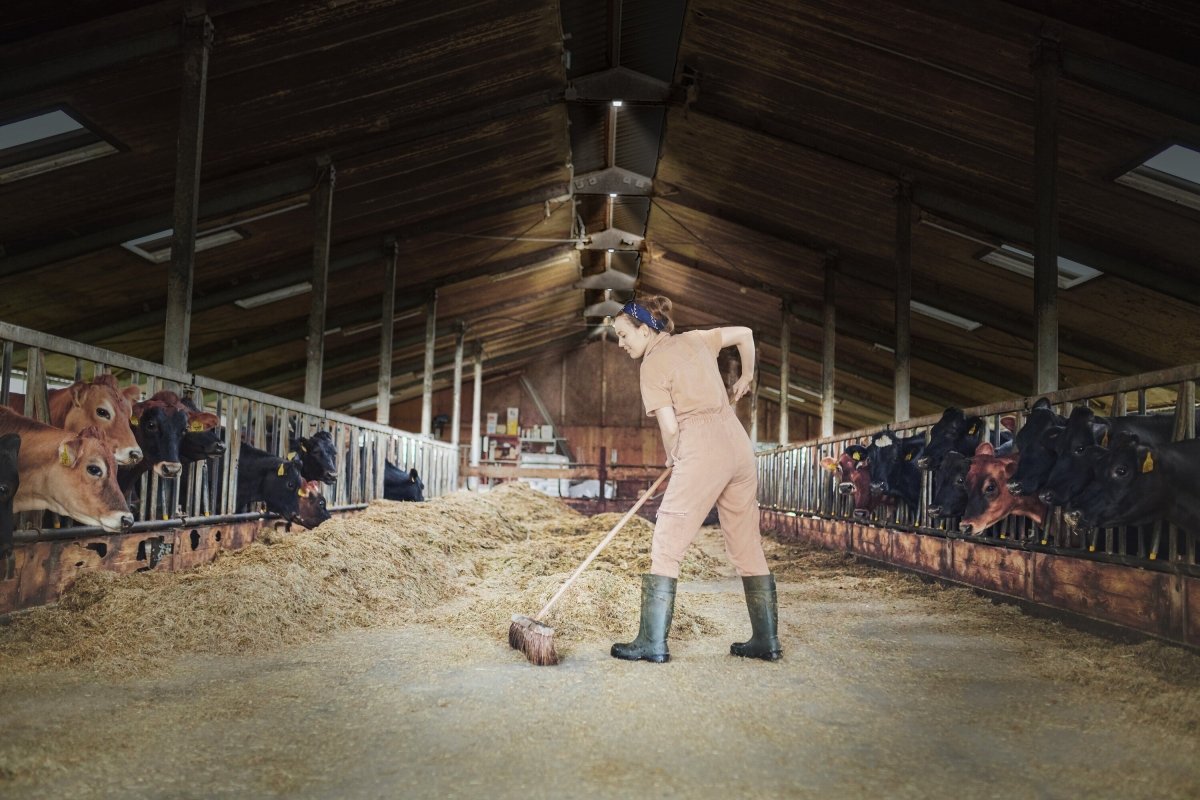 4099854429330 - Highbay UFO Stropní Svítidlo 130W, Denní světlo, Černé - Stropní svítidlo - Czechia LEDVANCE e - shop