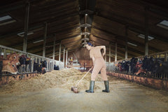 4099854429330 - Highbay UFO Stropní Svítidlo 130W, Denní světlo, Černé - Stropní svítidlo - Czechia LEDVANCE e - shop