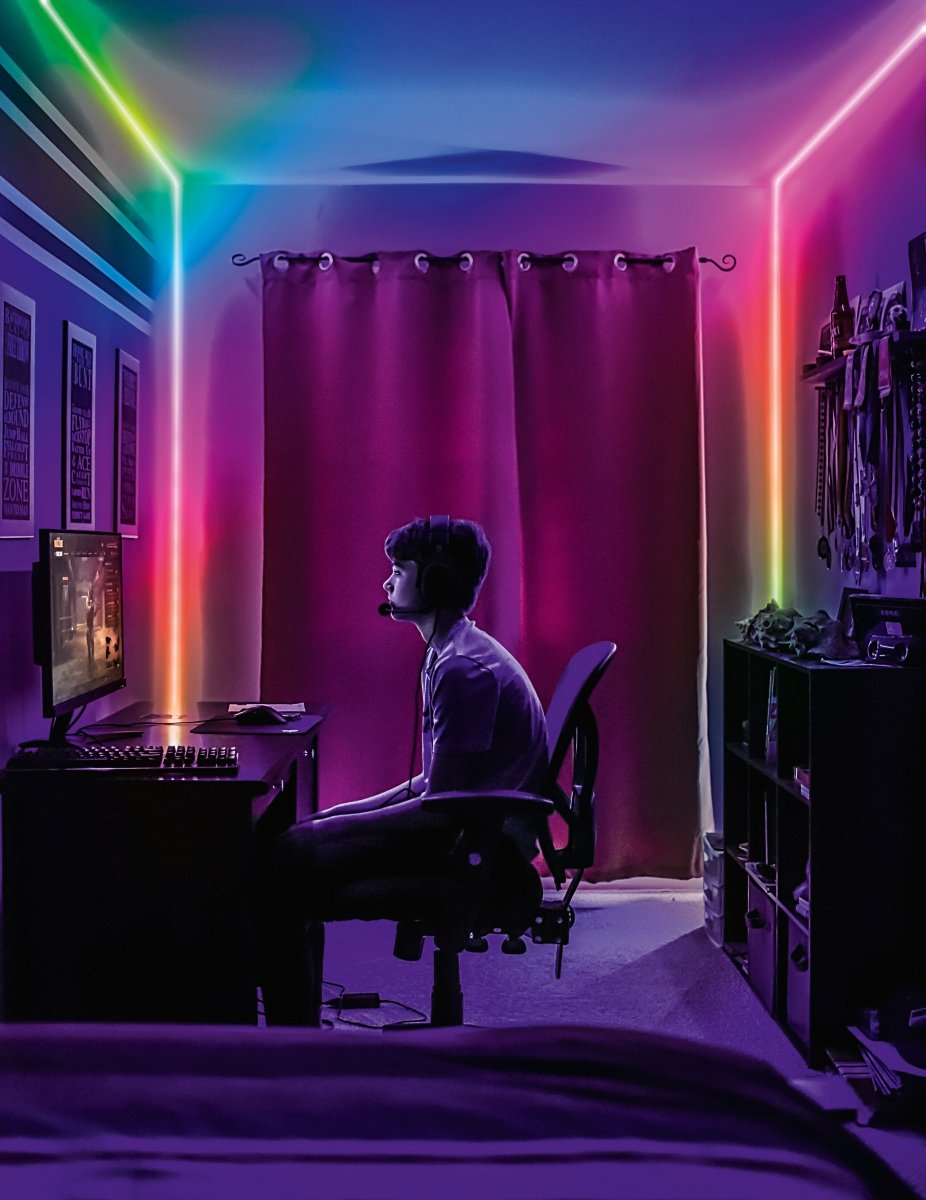 4099854449093 - LED pásek Neon Flex 2m RGB s dálkovým ovládáním, USB - LED pásek - Czechia LEDVANCE e - shop