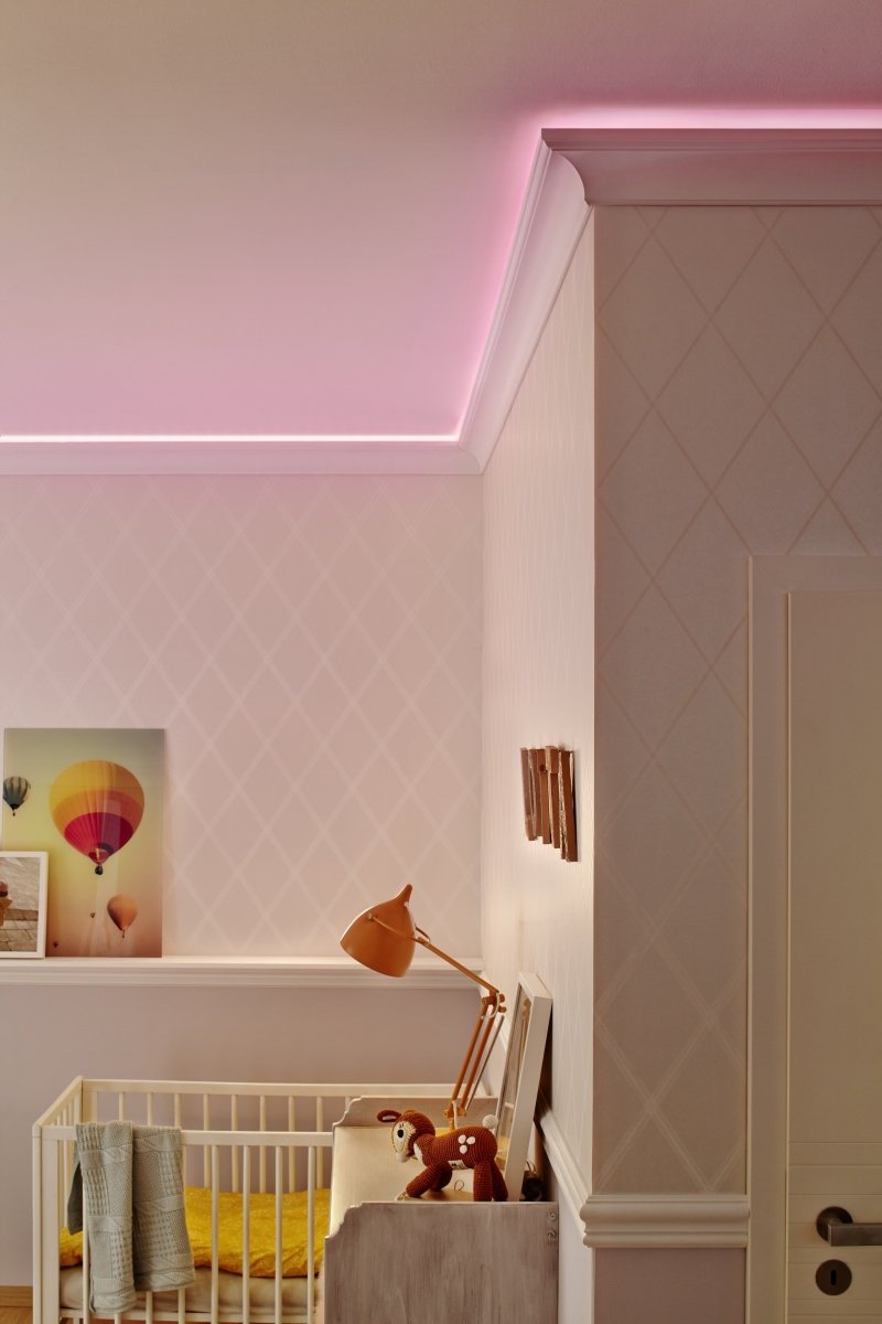 4099854449130 - LED pásek Venkovní Neon Flex 5m IP44, Teplá Bílá - LED pásek - Czechia LEDVANCE e - shop