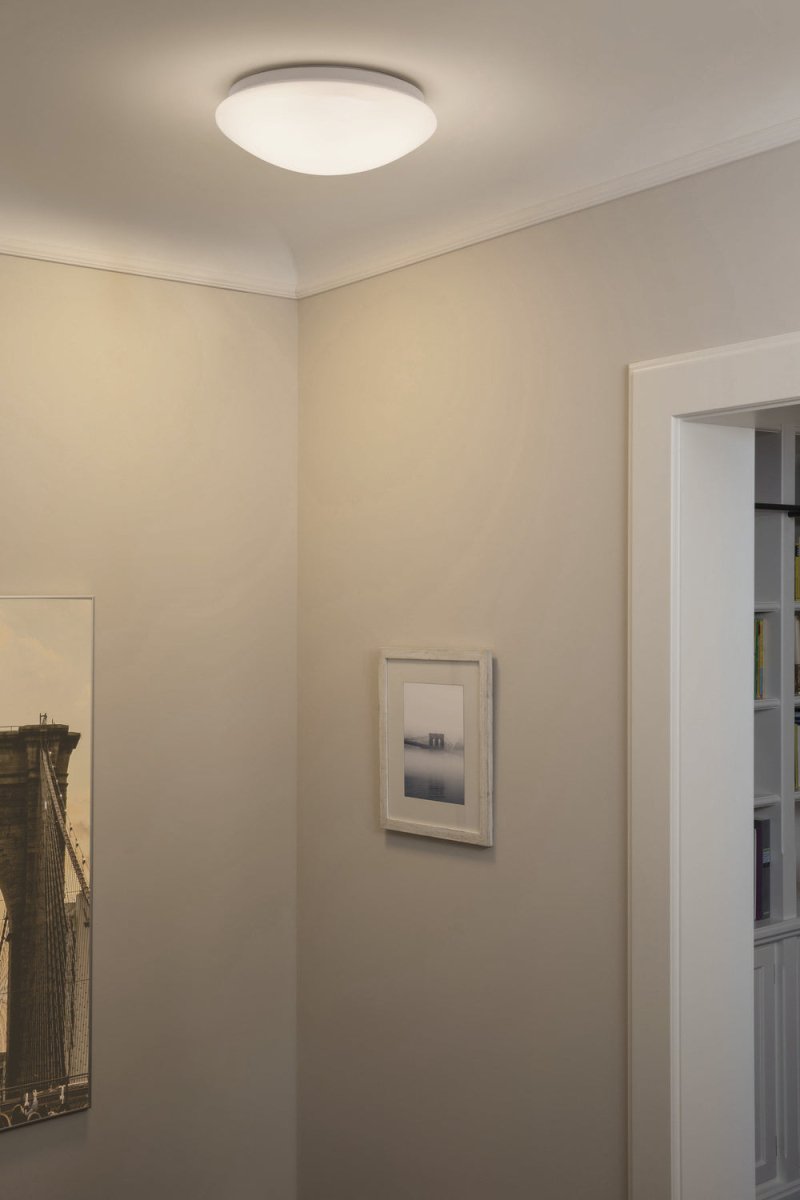 4099854003134 - LED stropní svítidlo 40 IP20 CEILING ESSENTIAL, studená bílá - Stropní svítidlo - LEDVANCE e - shop