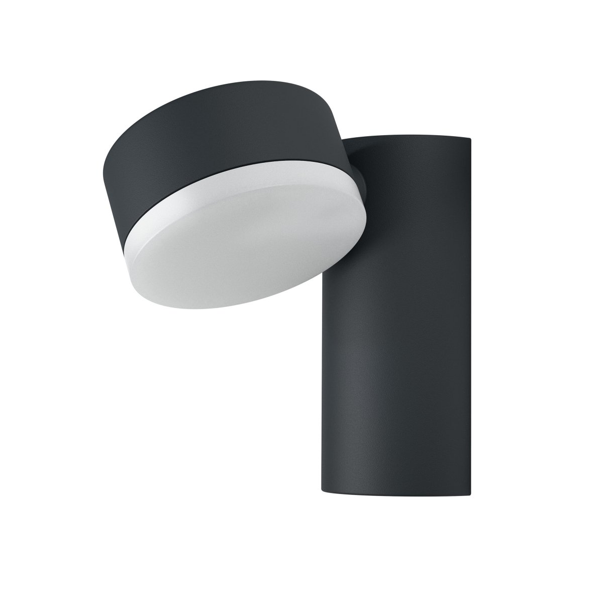 4099854453533 - LED Venkovní dekorativní svítido 8 W Teplá bílá 135 mm - Venkovní dekorativní svítidlo - LEDVANCE e - shop