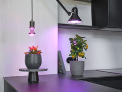4058075845787 - LED žárovka pro pěstování rostlin Star Grow Lamp T 60, 10W, Čirá, E27 - Czechia LEDVANCE e - shop