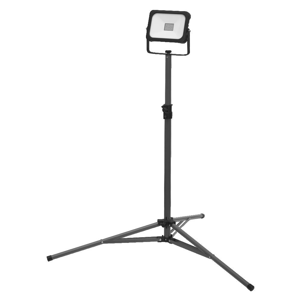 Pracovní svítidlo s externí baterií 20 W TRIPOD, studená bílá