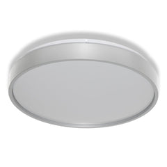 4099854651977 - Stropní svítidlo LUXO, 320mm, Studená bílá, IP20, Stříbrné - Czechia LEDVANCE e - shop