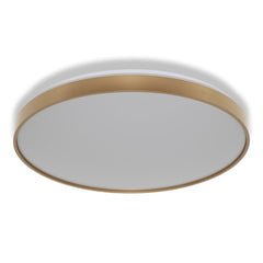 4099854653810 - Stropní svítidlo LUXO, 560mm, 60W, Studená bílá, IP20, Zlaté - Czechia LEDVANCE e - shop
