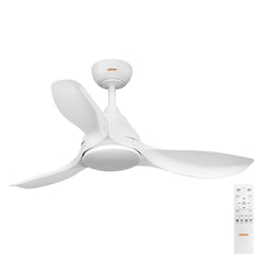4058075857773 - Stropní ventilátor Bise 1065 mm 48 W, laditelná bílá RGB - Stropní svítidlo - Czechia LEDVANCE e-shop