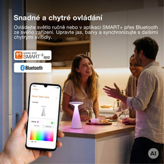 4099854768750 - Venkovní stolní lampa SMART+ Bluetooth Twist, RGBW IP44 - Stolní lampa - Czechia LEDVANCE e-shop