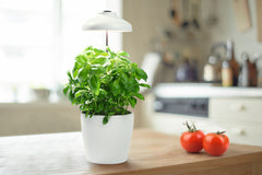 4058075576155 - Přenosné LED růstové světlo na rostliny Garden Umberella USB - Doplněk - LEDVANCE e-shop